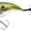 Spro Fat Iris 60 Shad -Vistuig Winkel 4867 fat iris 12 16 scaled 1