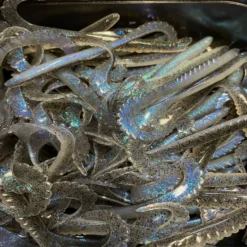 Gators Electric Ghost (100stuks)