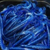 Gators Electric Blue (100stuks) -Vistuig Winkel electric Bleu
