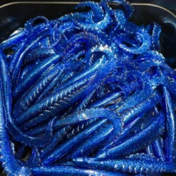 Gators Electric Blue (100stuks)