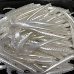 Gators Pearl (100stuks)