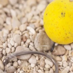 Korda Ready Tied IQ2 10lb D-rig Kurv Shank Maat 8 7 Korda Ready Tied IQ2 10lb D-rig Kurv Shank Maat 8 -Vistuig Winkel products 653x434 1 1