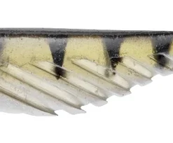 Berkley PowerBait Ripple Shad 9 Cm. 11 Berkley PowerBait Ripple Shad 9 Cm. -Vistuig Winkel products file 5549 1