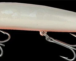 Grauvell JINZA SENSEI F White Pearl Orange 13 Cm